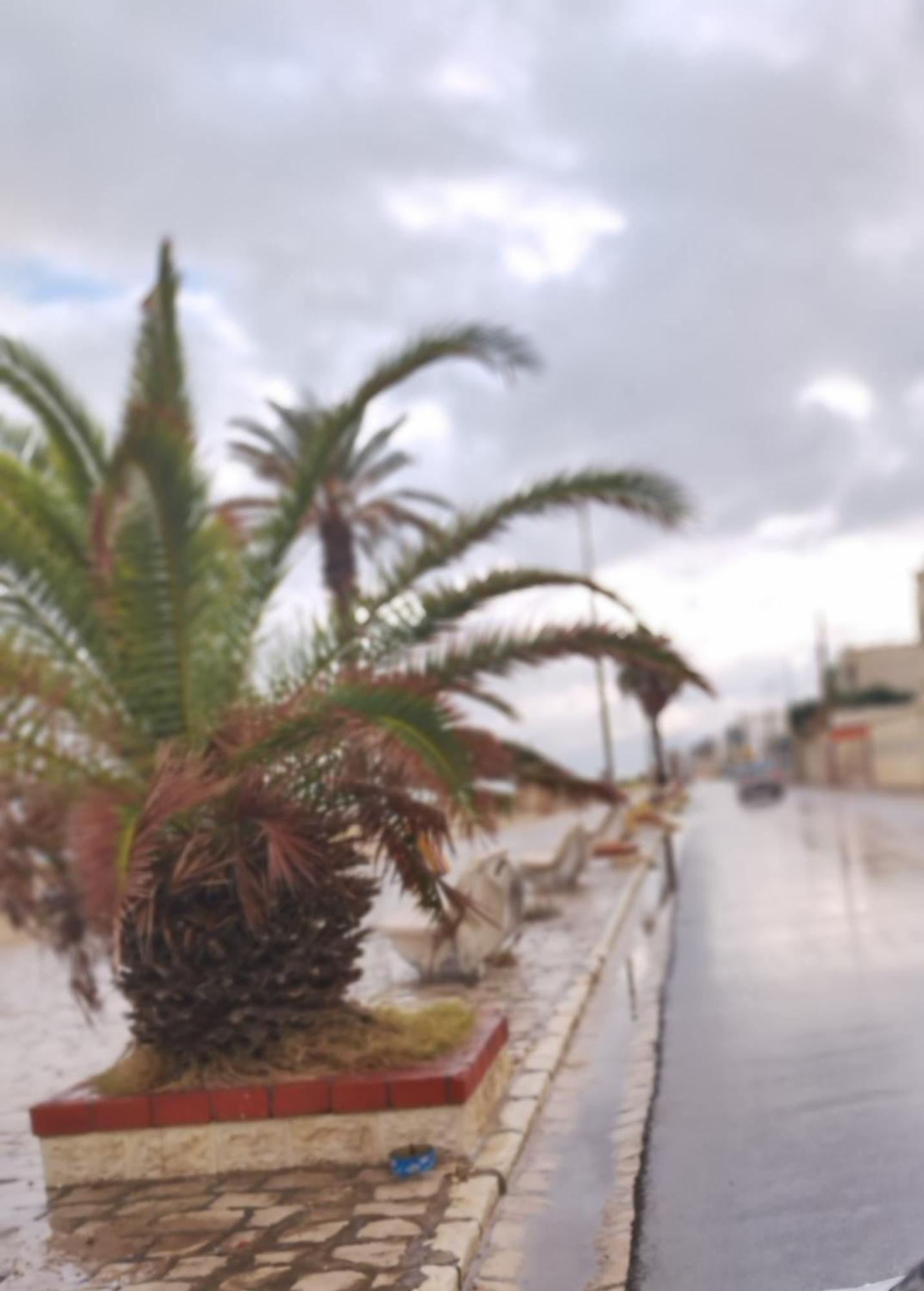 Appartement Hammam-Lif Les Cyclamens Tunisie Afrique Экстерьер фото
